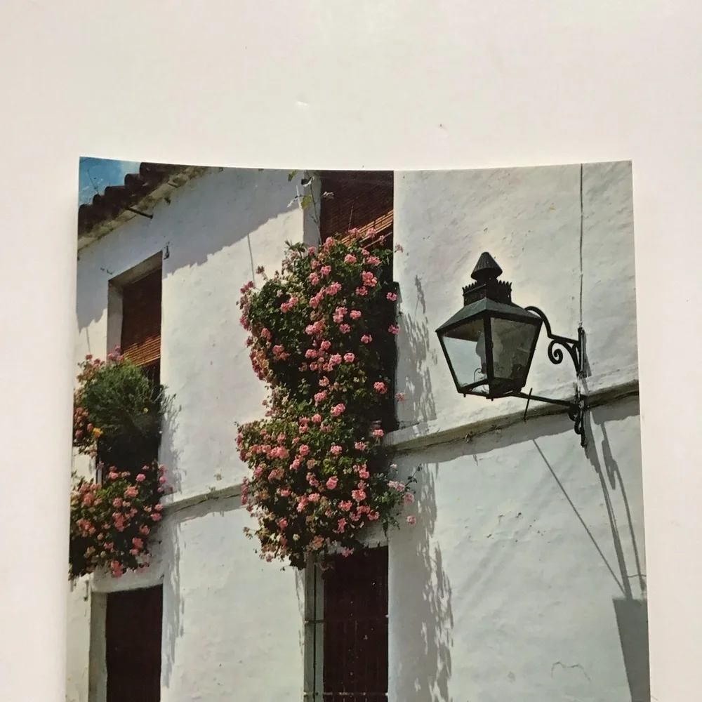 VTG Spain Postcard Typical Corner Flamenco Girls Children Flowers Windows